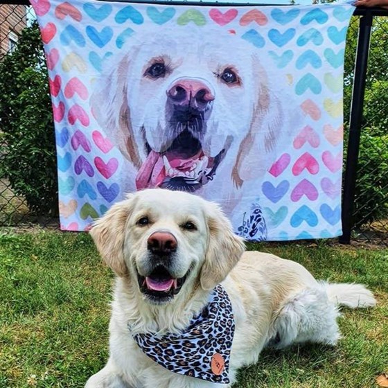 pet portrait blanket: pet portrait blanket