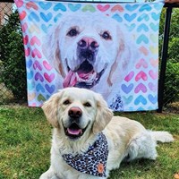 Портфолио getphoto blanket